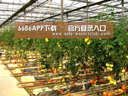 种植基地二