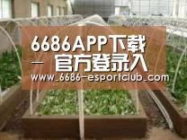 环境展示五