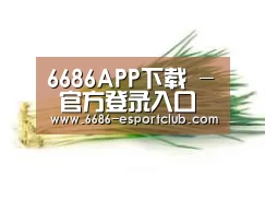 产品名称二