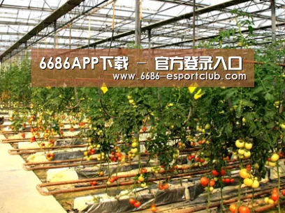 种植基地二(图1)