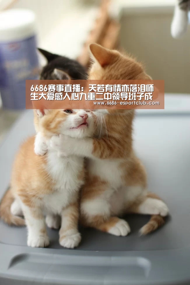 6686赛事直播:天若有情亦落泪师生大爱感人心九重二中领导班子成员及师生代表看望慰问患(图1) 6686最新地址